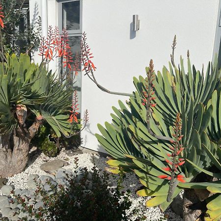 Stunning Park Side Holiday Home Christchurch Bagian luar foto